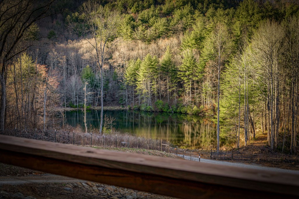 120 Cohutta Ranch Road Blue Ridge, GA 30513 - Photo 17 of 91