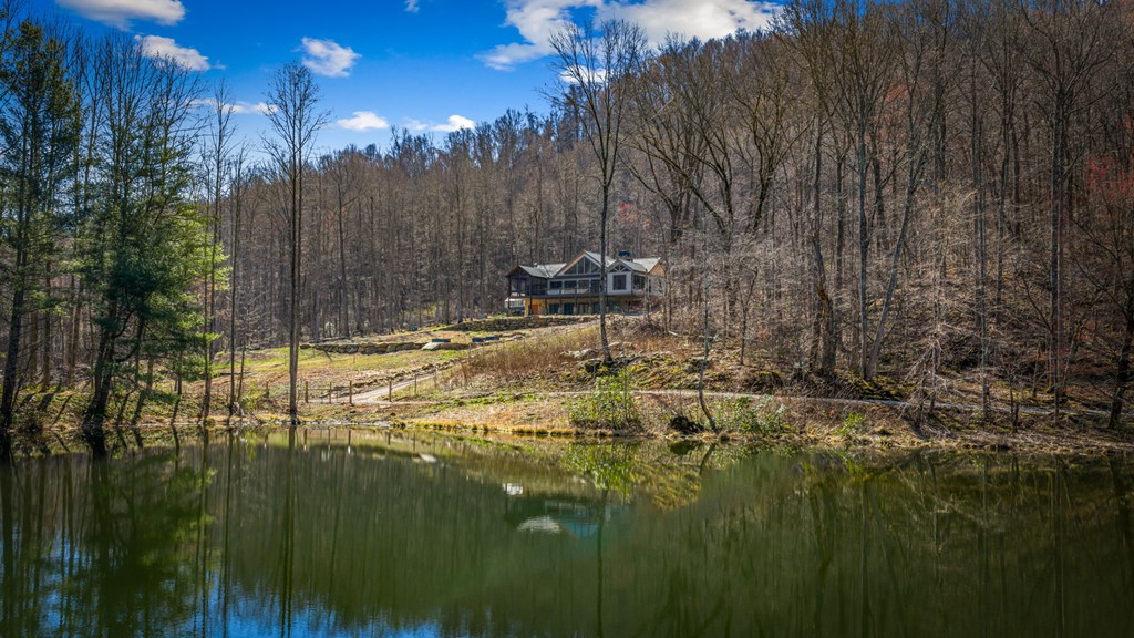 120 Cohutta Ranch Road Blue Ridge, GA 30513 - Photo 19 of 91