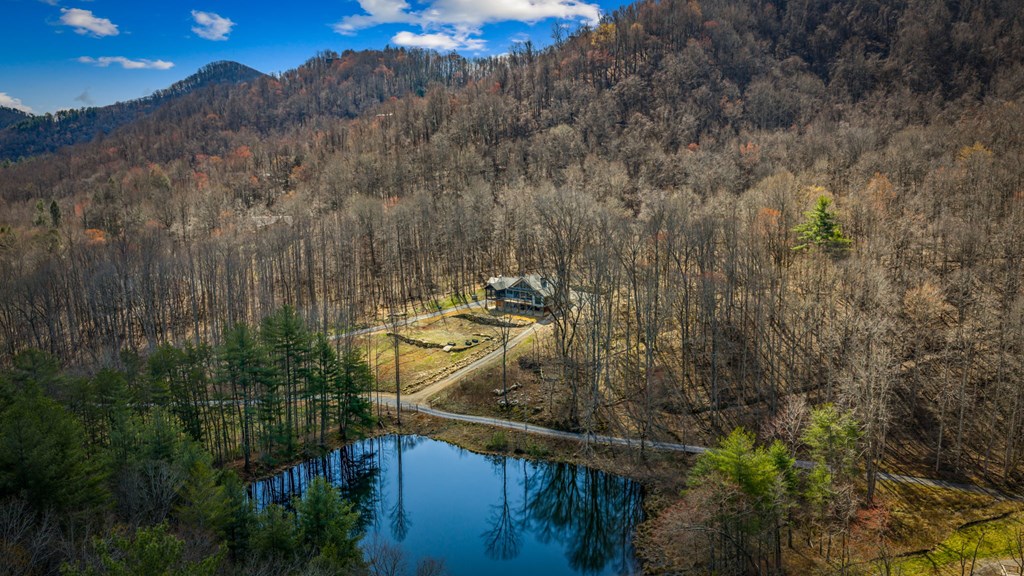 120 Cohutta Ranch Road Blue Ridge, GA 30513 - Photo 21 of 91