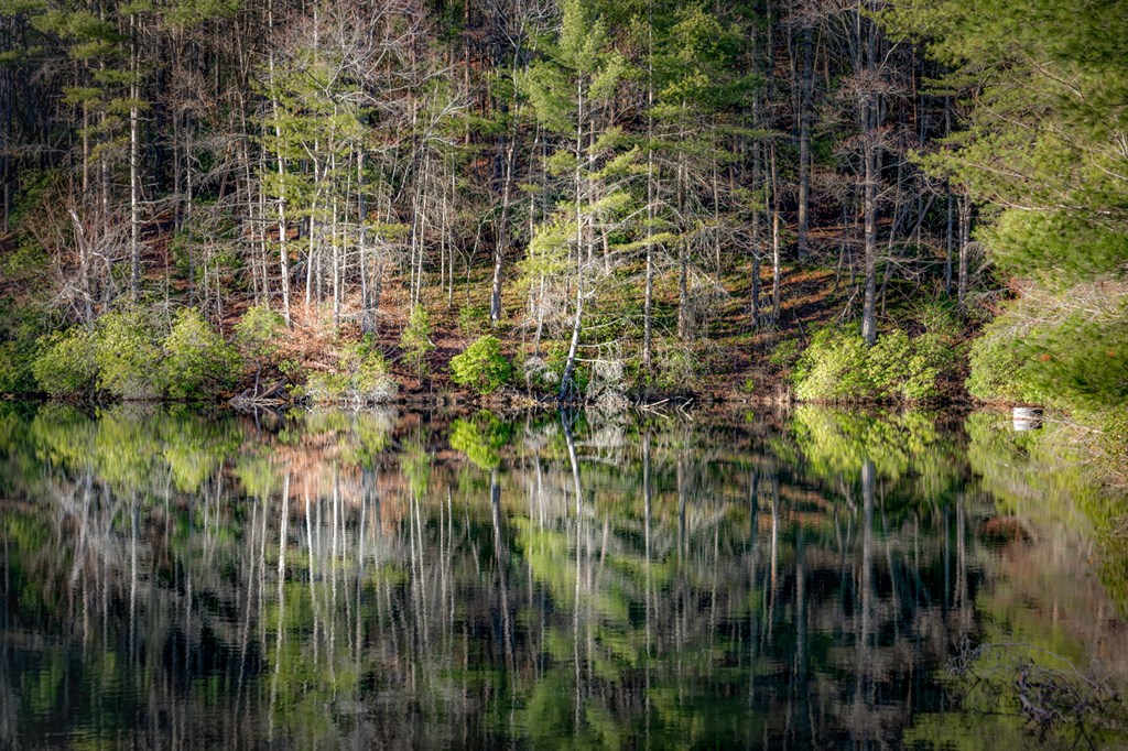 120 Cohutta Ranch Road Blue Ridge, GA 30513 - Photo 5 of 91