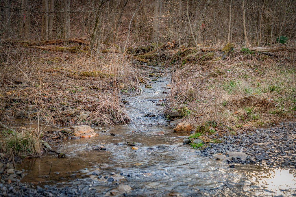 120 Cohutta Ranch Road Blue Ridge, GA 30513 - Photo 76 of 91