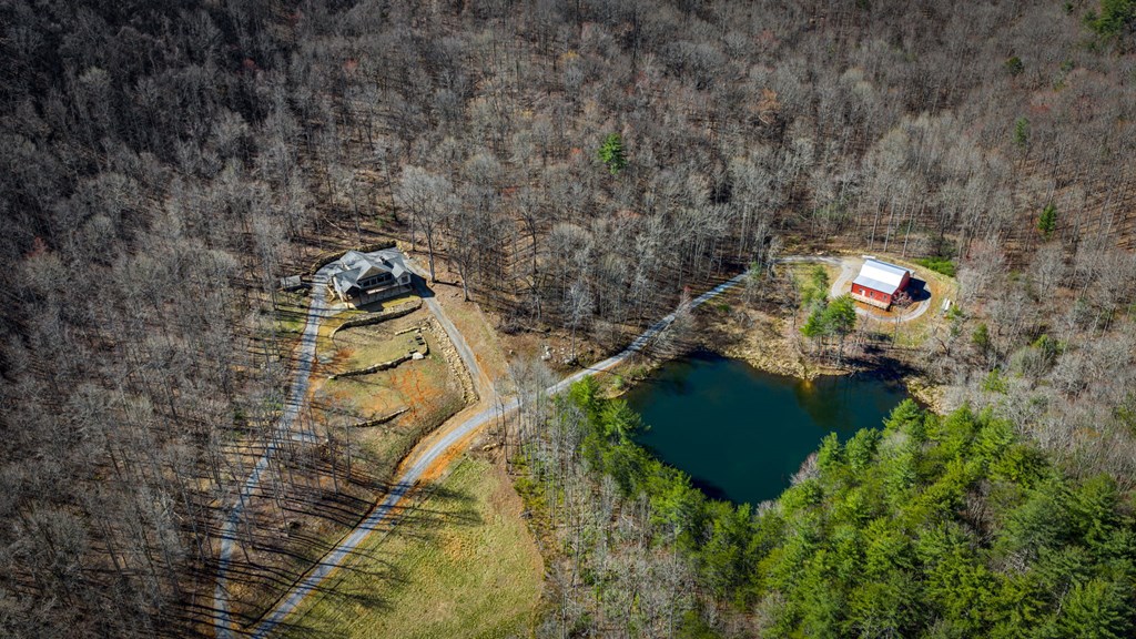 120 Cohutta Ranch Road Blue Ridge, GA 30513 - Photo 77 of 91