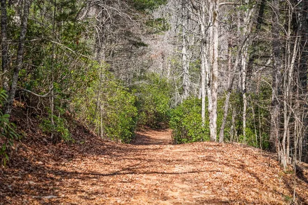 $2,900,000 | 120 Cohutta Ranch Road, Blue Ridge, GA 30513