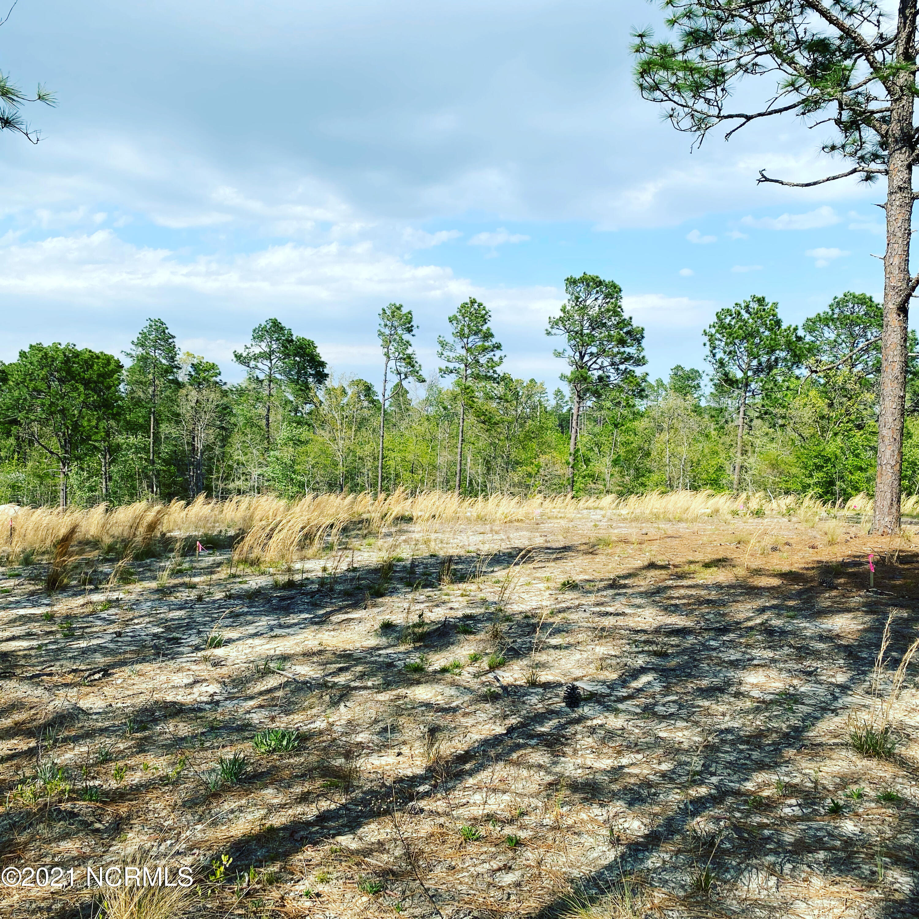 508 Gretchen Road West End, NC 27376 - Photo 7 of 7 Homesite