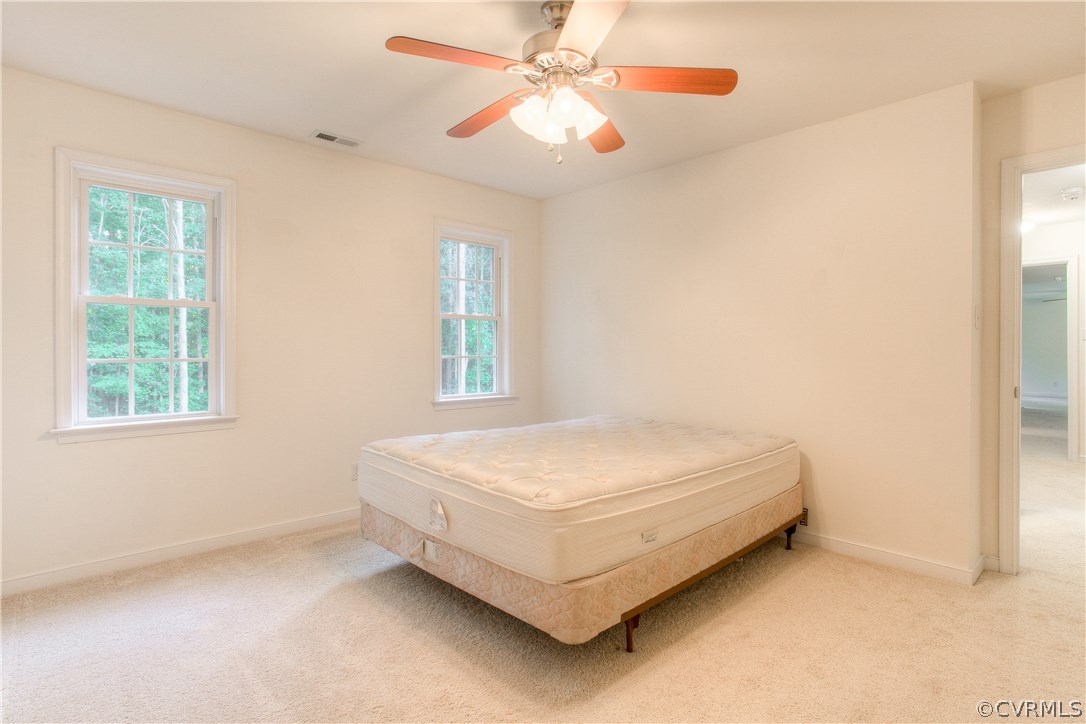 17436 Creekbed Road Chesterfield, VA 23838 - Photo 30 of 44 Bedroom #3 also has a walk-in closet and ceiling f