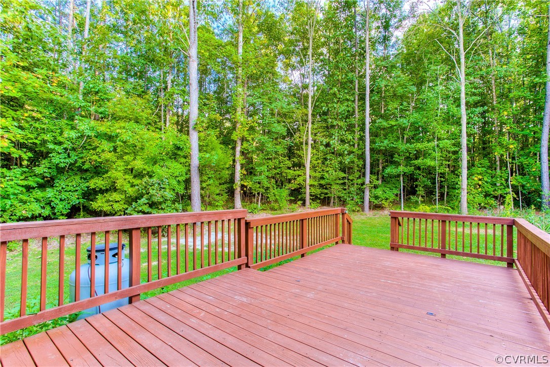 17436 Creekbed Road Chesterfield, VA 23838 - Photo 42 of 44 The homeowners also added to the rear Deck. You ar