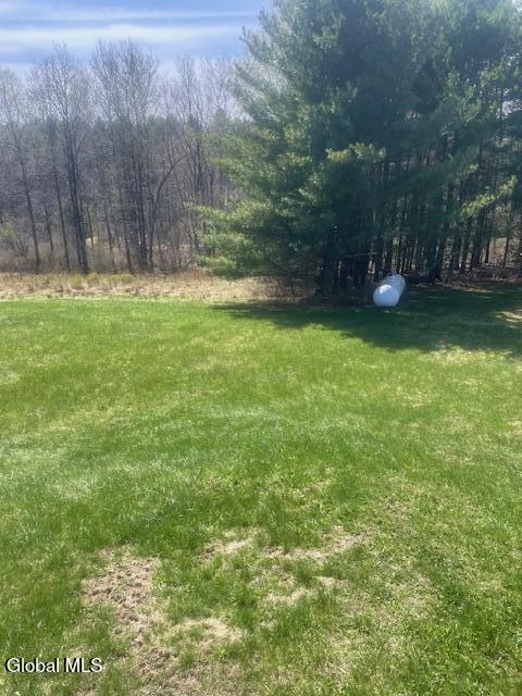 382 Old Road Grafton, NY 12052 - Photo 71 of 93 view