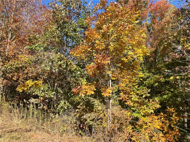 $40,000 | Lot 19 Twin View Drive, Westminster, SC 29693