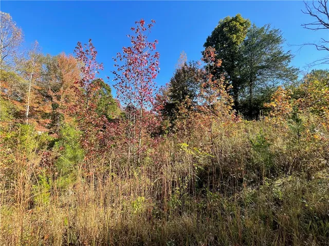 $40,000 | Lot 19 Twin View Drive, Westminster, SC 29693