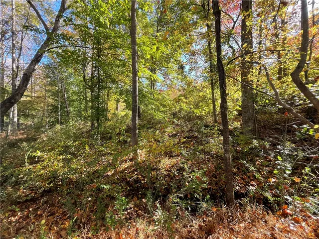 $40,000 | Lot 19 Twin View Drive, Westminster, SC 29693