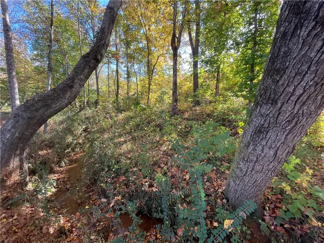 $40,000 | Lot 19 Twin View Drive, Westminster, SC 29693