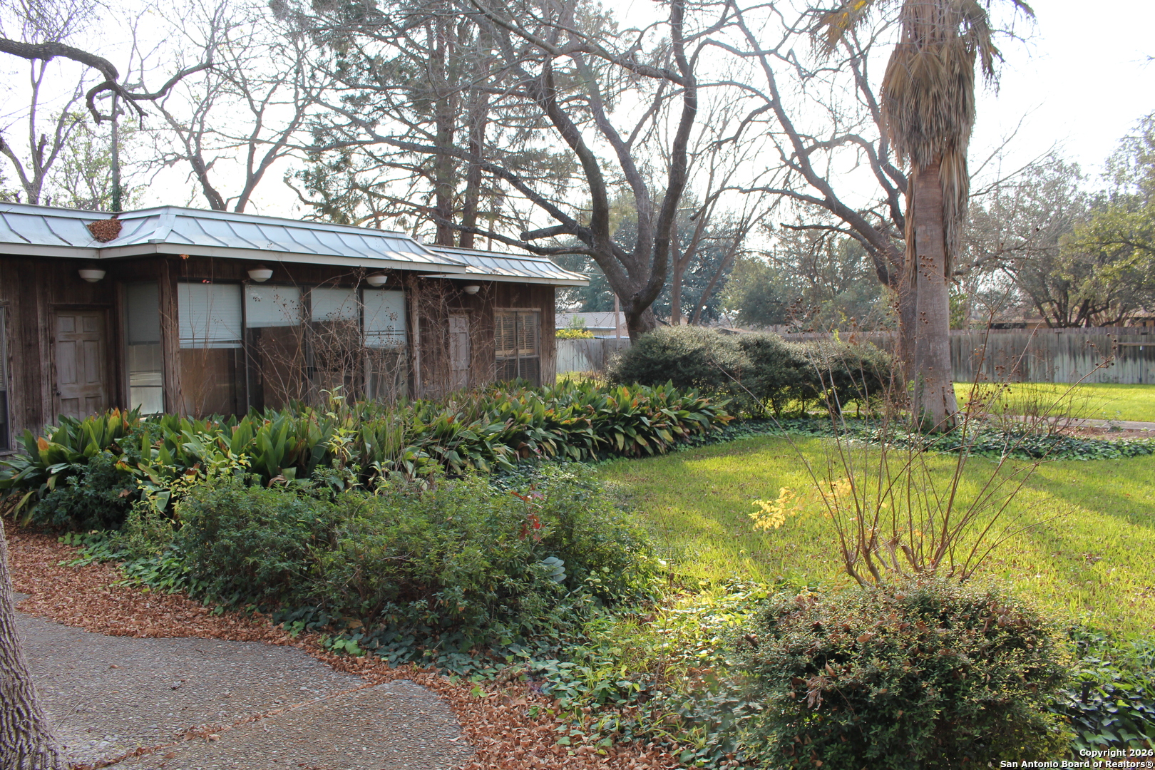 1111 Magnolia Street Uvalde, TX 78801 - Photo 24 of 34 a view of a house with large trees and a yard with a large tree
