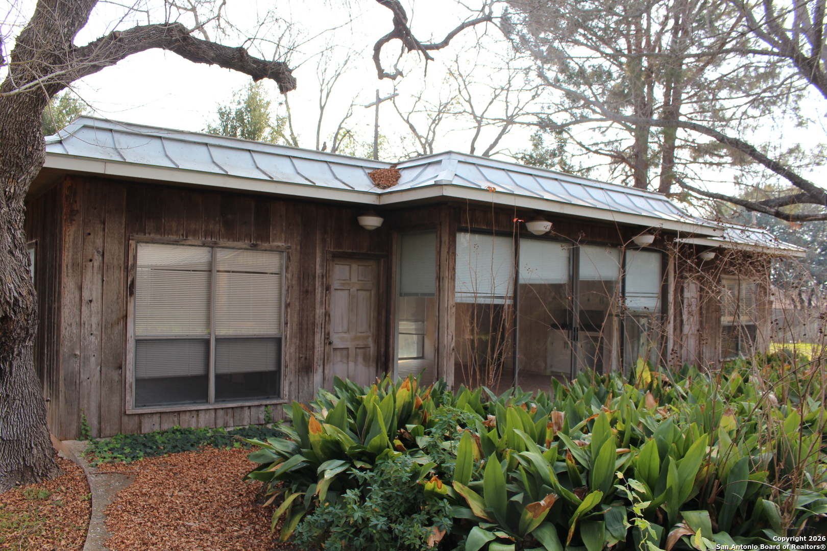 1111 Magnolia Street Uvalde, TX 78801 - Photo 25 of 34 a house with a tree in front of it