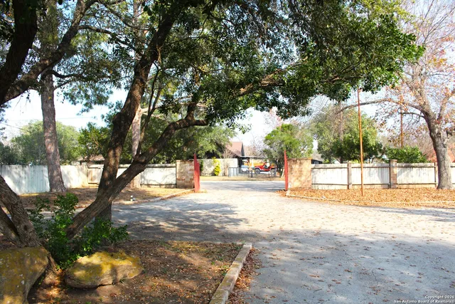 a view of yard and trees