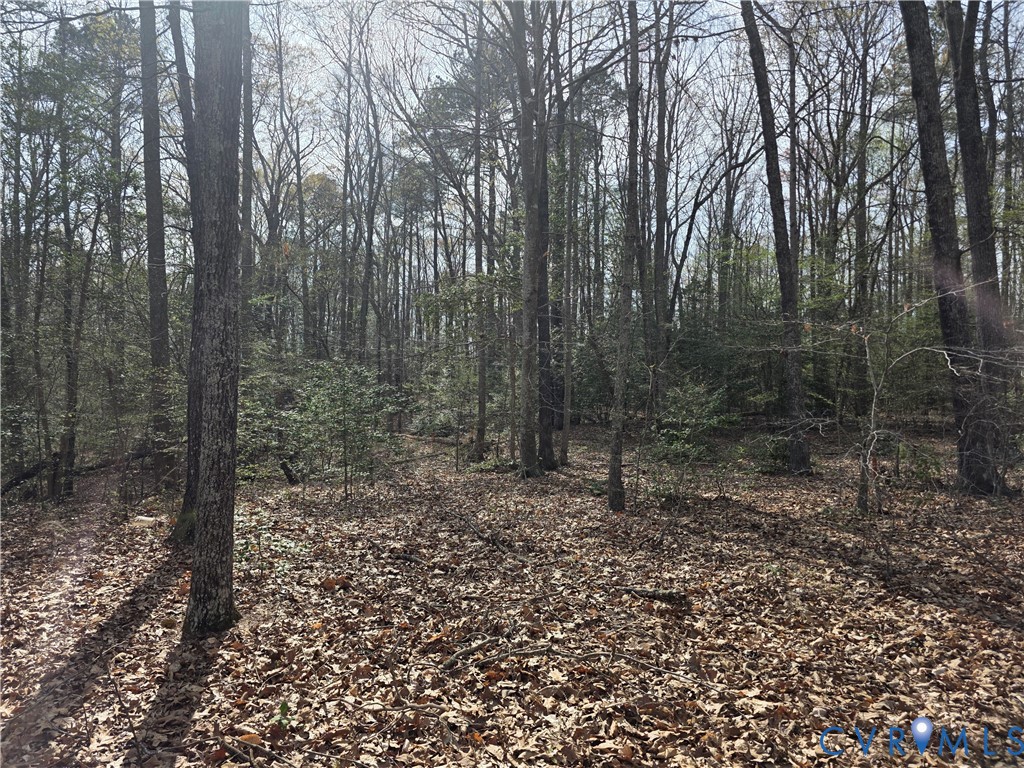 Lot 5 Solaris Lane Warsaw, VA 22572 - Photo 3 of 5 a view of a forest filled with trees