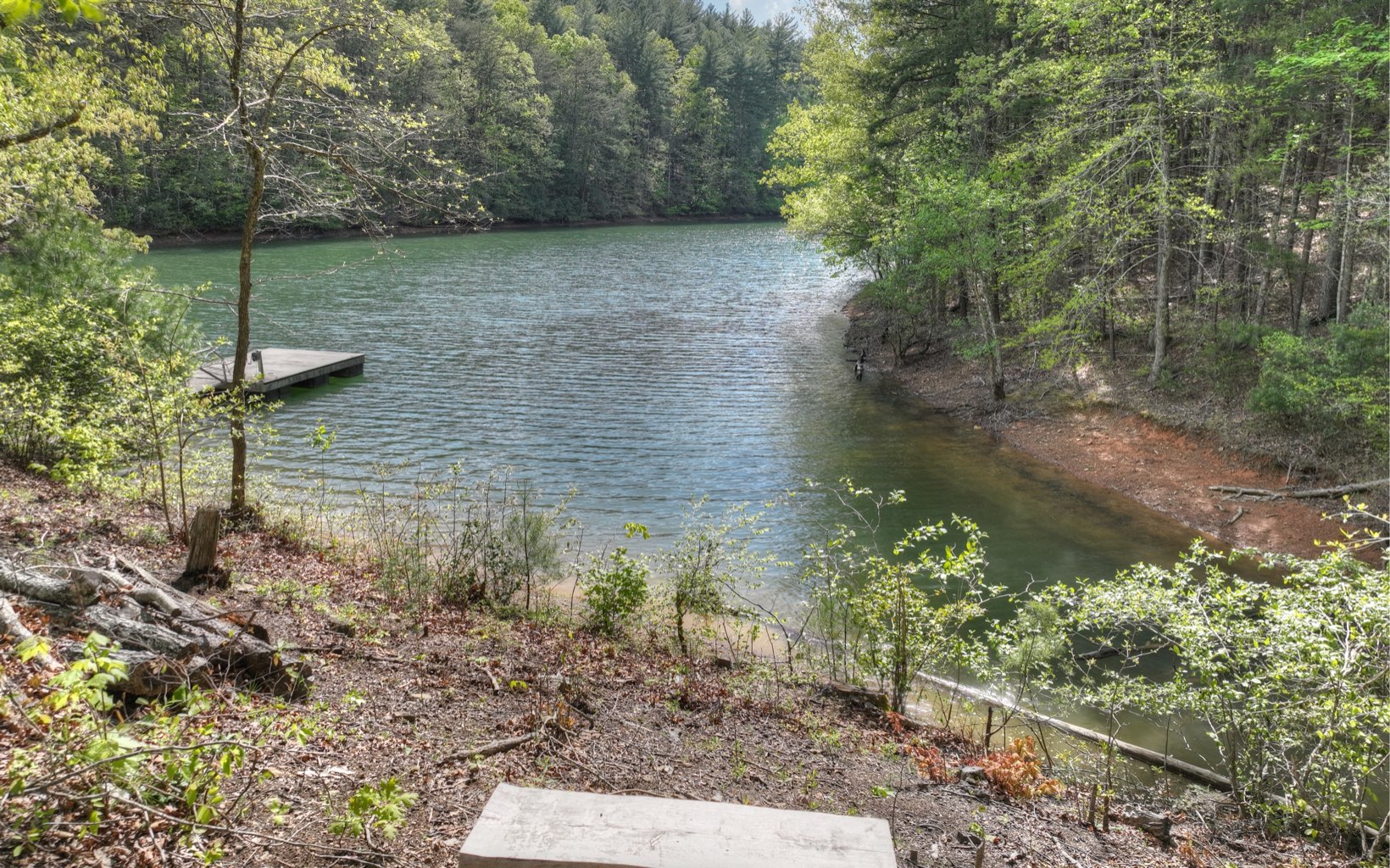 391 Old Camp Loop Morganton, GA 30560 - Photo 34 of 70 Additional View