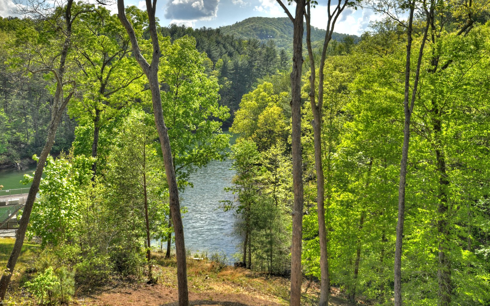 391 Old Camp Loop Morganton, GA 30560 - Photo 58 of 70 Additional View