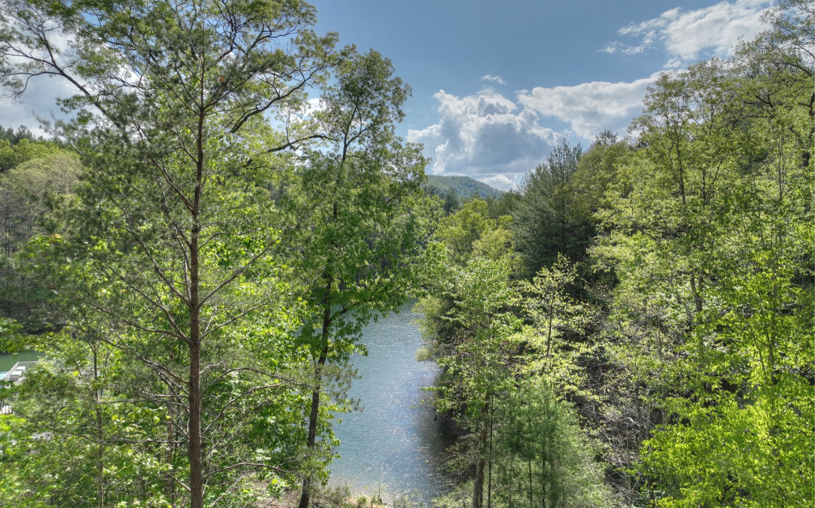 391 Old Camp Loop Morganton, GA 30560 - Photo 61 of 70 Additional View
