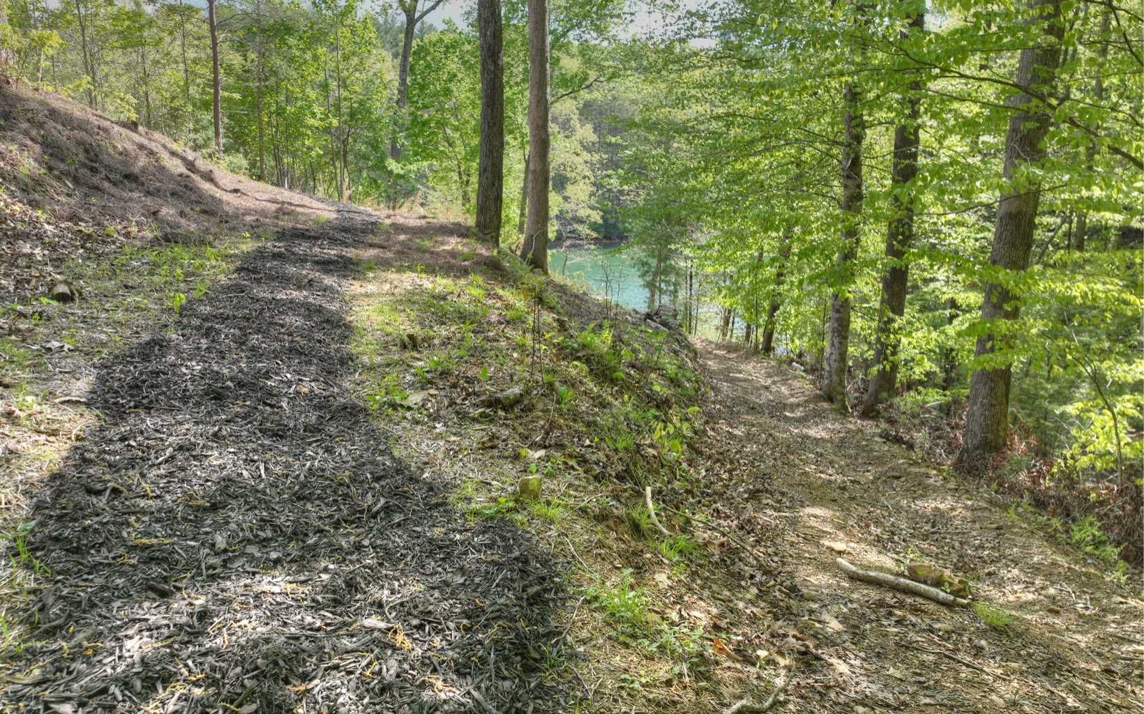 391 Old Camp Loop Morganton, GA 30560 - Photo 62 of 70 Additional View