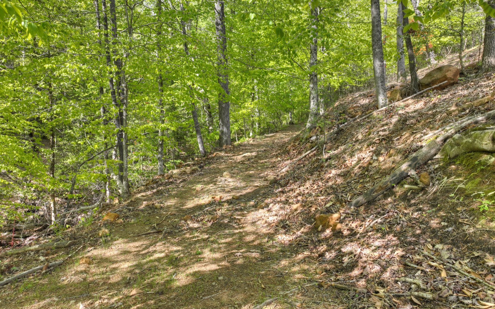 391 Old Camp Loop Morganton, GA 30560 - Photo 63 of 70 Additional View