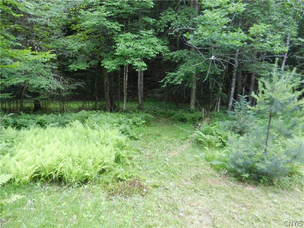 0 Bingham Mills Road Stratford, NY 13470 - Photo 7 of 12