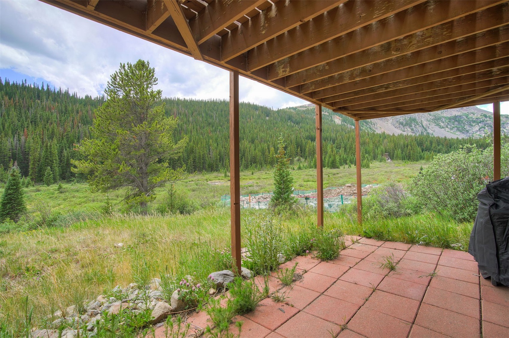 66 McDill Road Breckenridge, CO 80424 - Photo 29 of 37