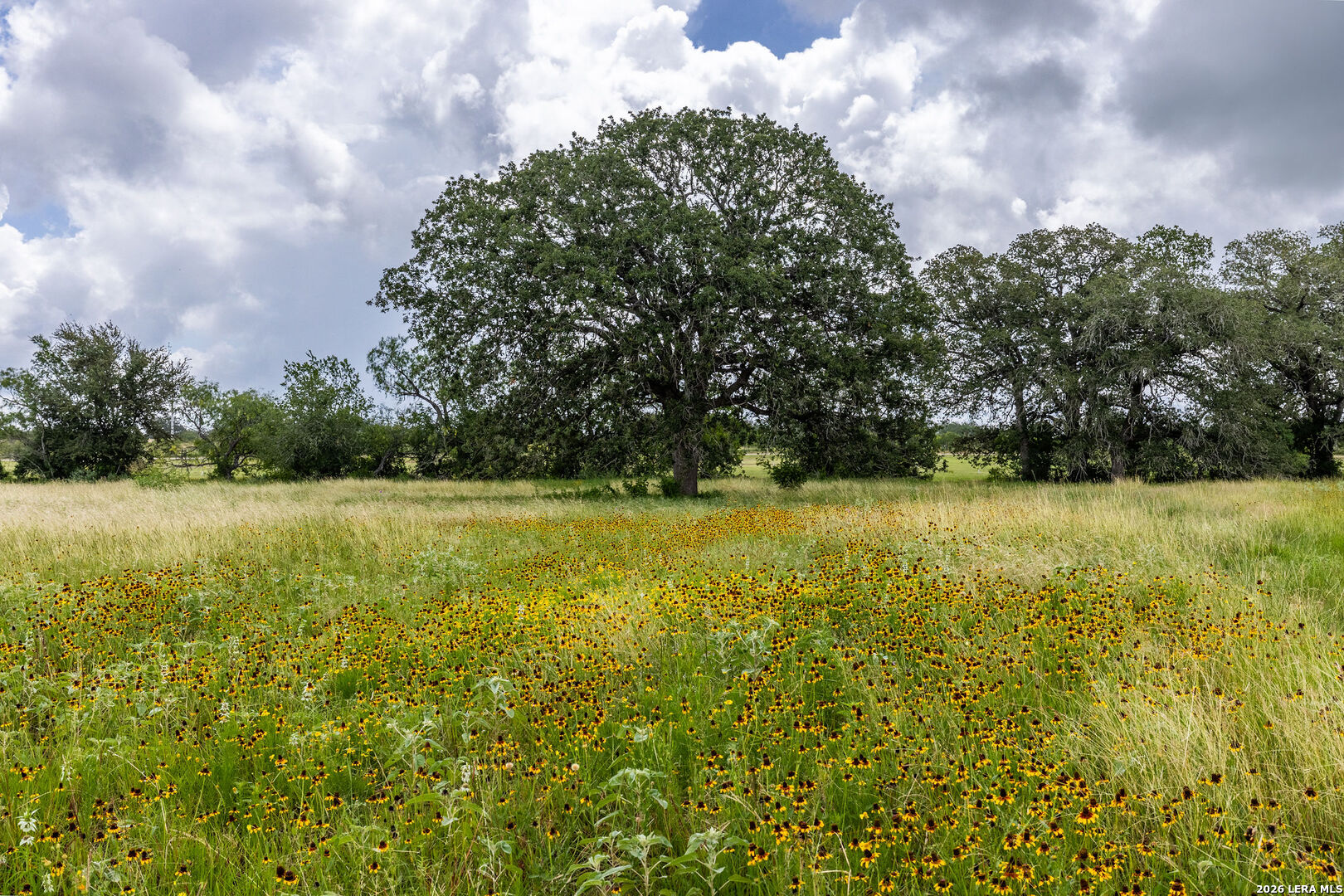 1393 Fox Trotter Road Seguin, TX 78155 - Photo 38 of 46