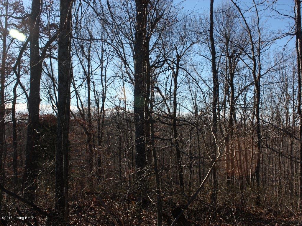 3106 Yeaman Olaton Road Olaton, KY 42361 - Photo 15 of 20 37Floyd Auction