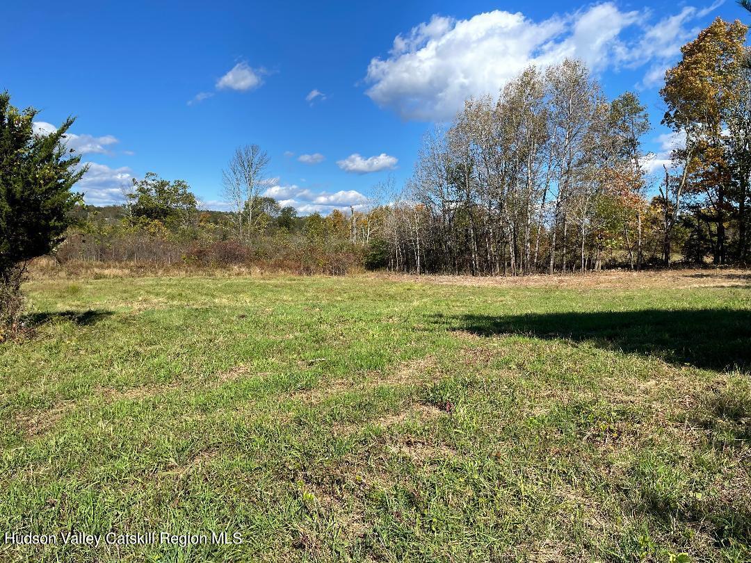 Lot 2 Crestview Ridge Road High Falls, NY 12440 - Photo 3 of 9 thumbnail 10