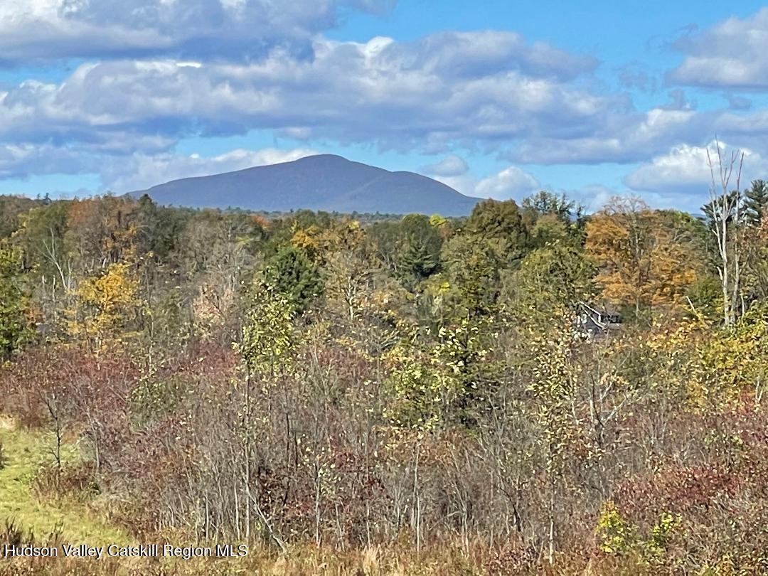 Lot 2 Crestview Ridge Road High Falls, NY 12440 - Photo 4 of 9 thumbnail 16