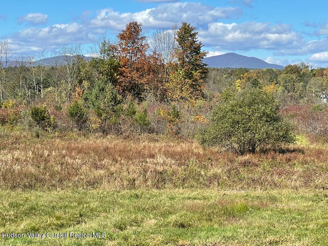Lot 2 Crestview Ridge Road High Falls, NY 12440 - Photo 5 of 9 thumbnail 11