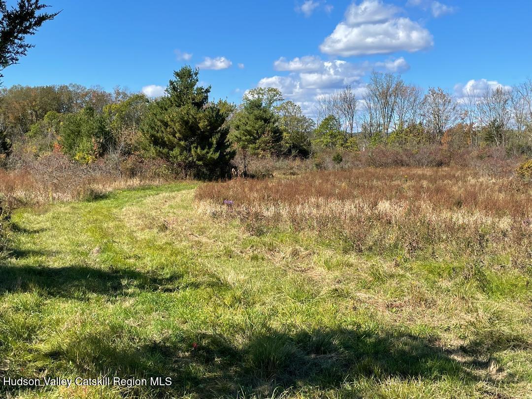 Lot 2 Crestview Ridge Road High Falls, NY 12440 - Photo 8 of 9 thumbnail 22