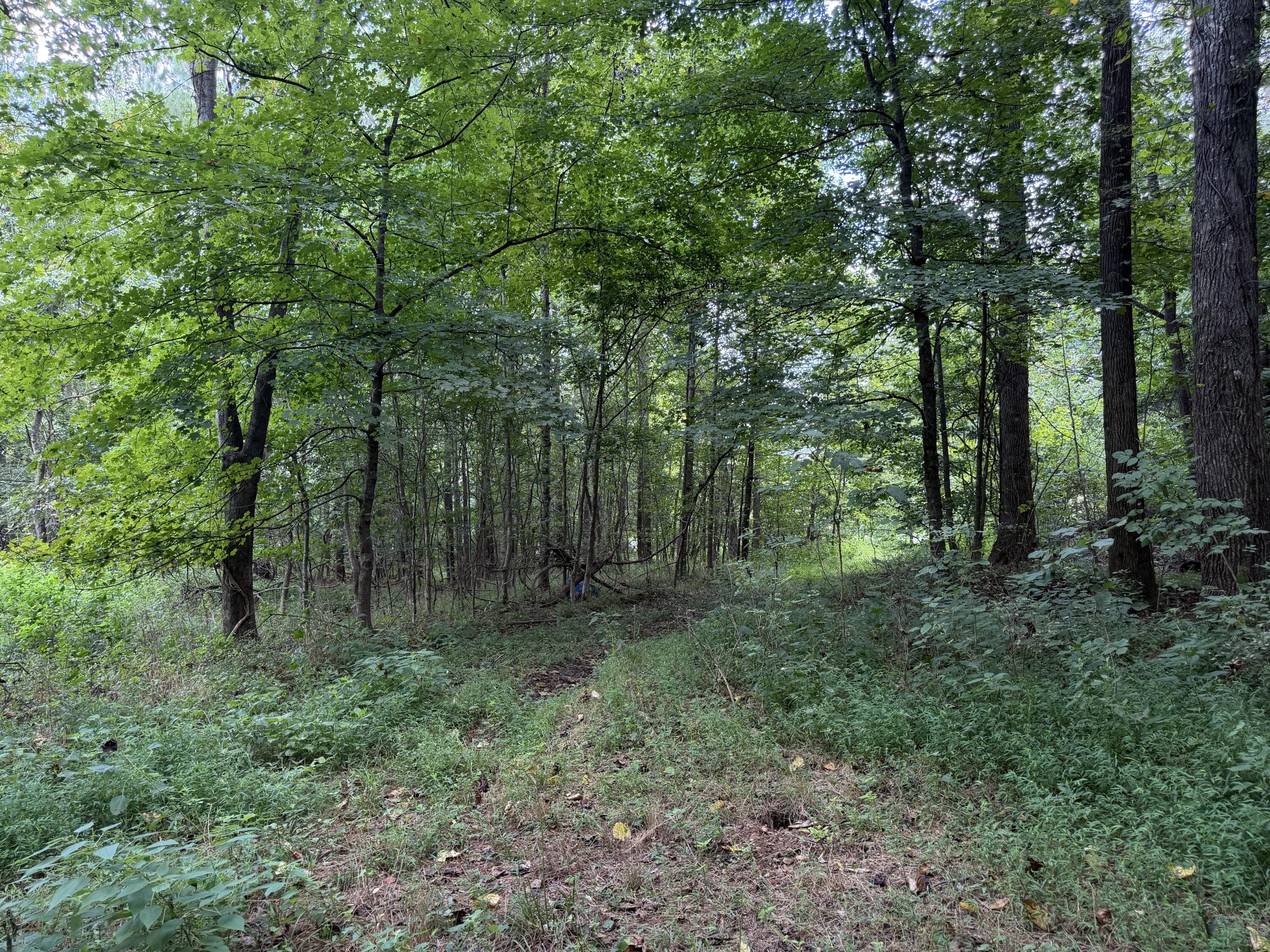 6861 Rockcastle Road Cadiz, KY 42211 - Photo 74 of 75 2