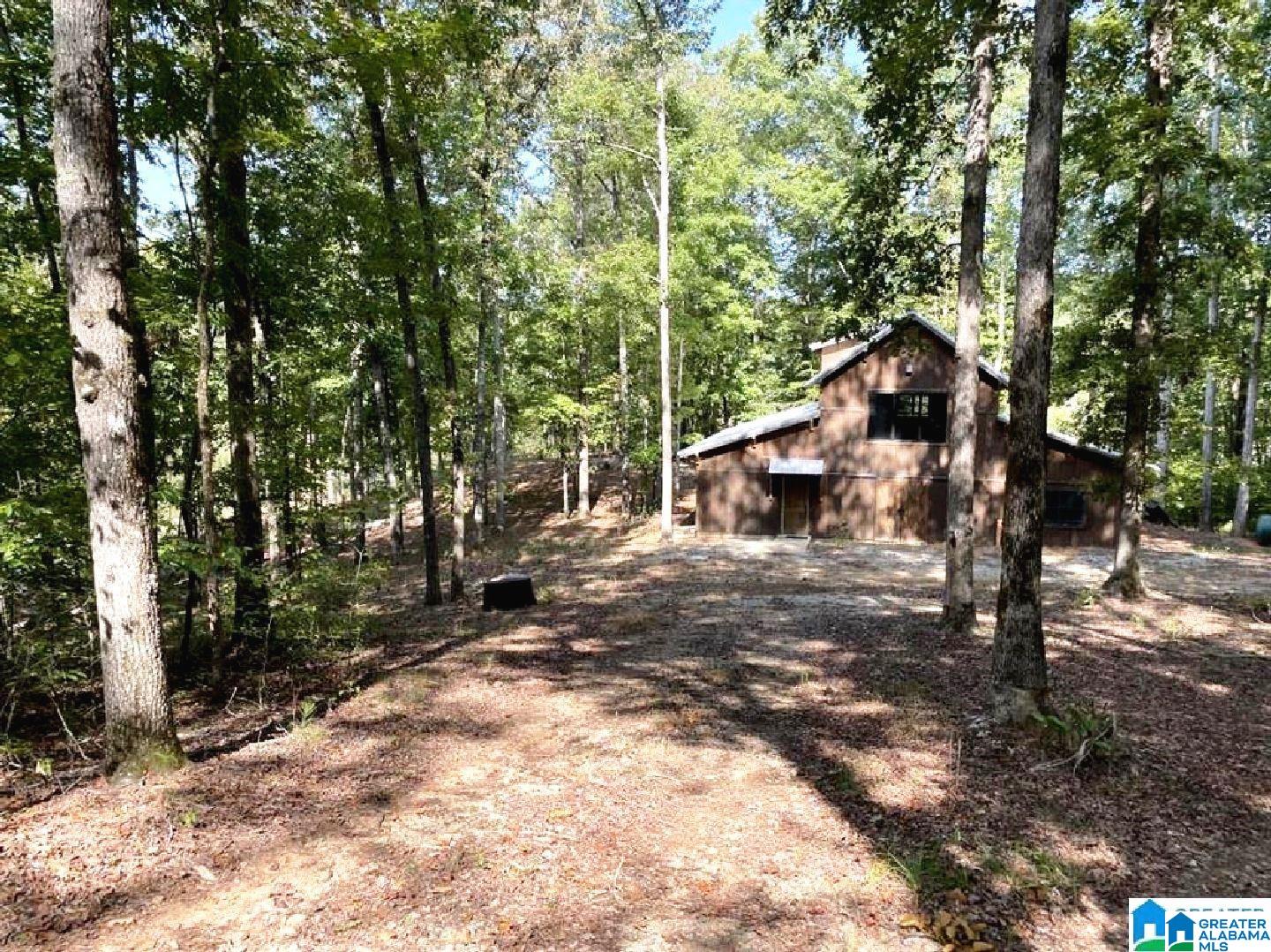 255 Royster Road South Ashland, AL 36251 - Photo 2 of 33