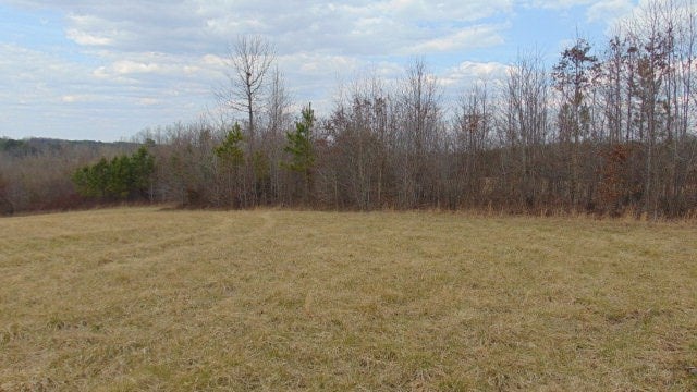 Beulah Road Nathalie, VA 24577 - Photo 1 of 15 Gallery Image 1