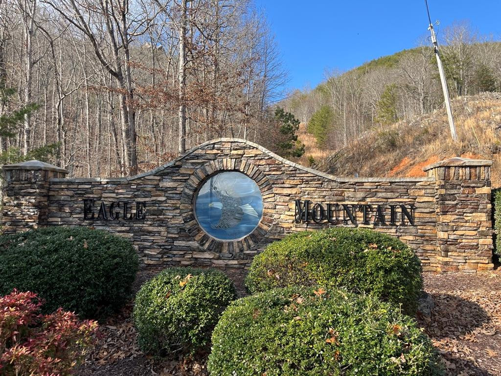 Lot 14 Patriot Ridge Murphy, NC 28906 - Photo 8 of 25