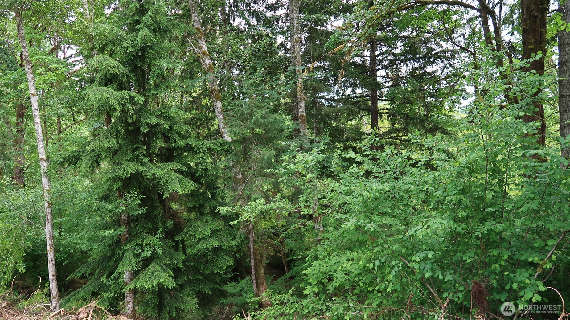 123 Northeast Tahuya River Road Tahuya, WA 98588 - Photo 8 of 15 Gallery Image 8