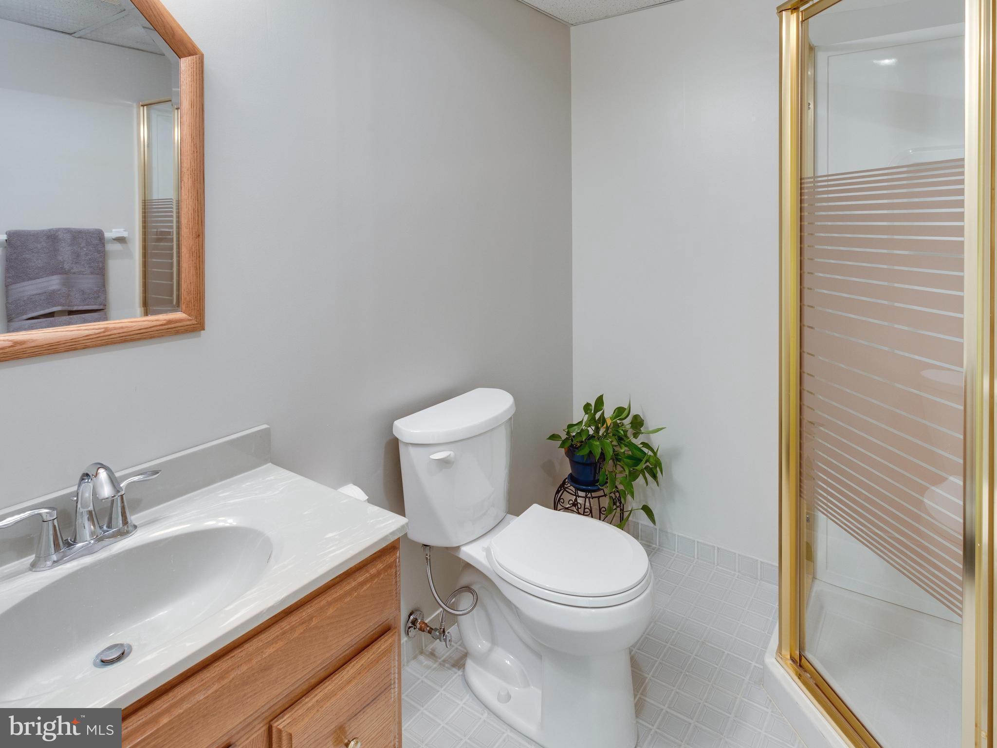 9907 Natick Road Burke, VA 22015 - Photo 27 of 30 Full Bath in Basement