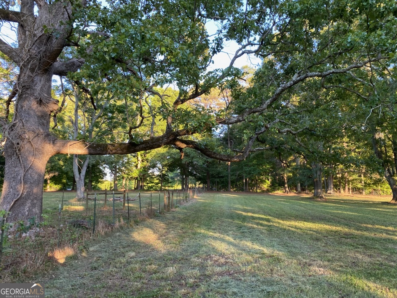1061 Burger Road Watkinsville, GA 30677 - Photo 35 of 43 a view of a yard