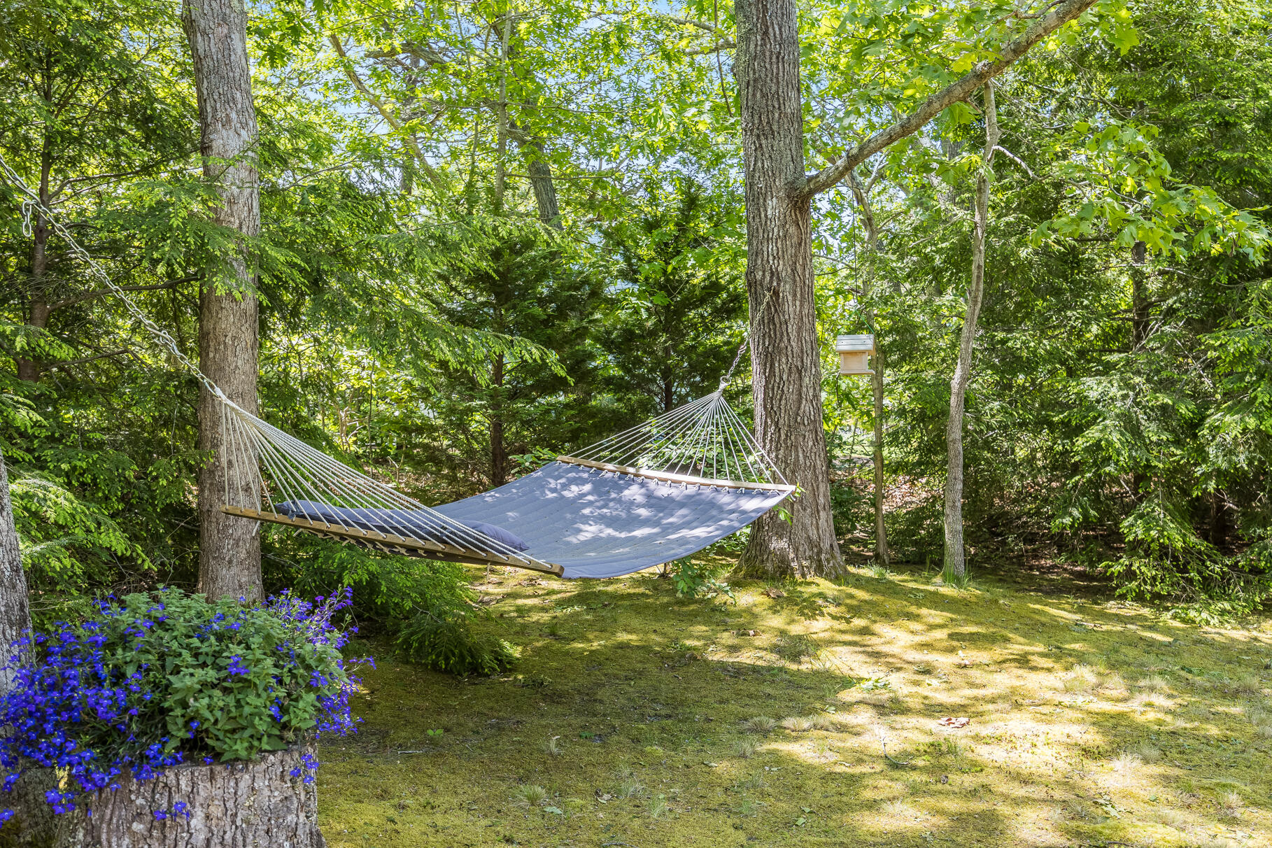 20 Hoyt Road Eastham, MA 02642 - Photo 8 of 73 Rear Yard
