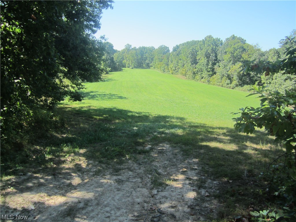 2191 Hoover Road Waterford, OH 45786 - Photo 18 of 30 View of nature