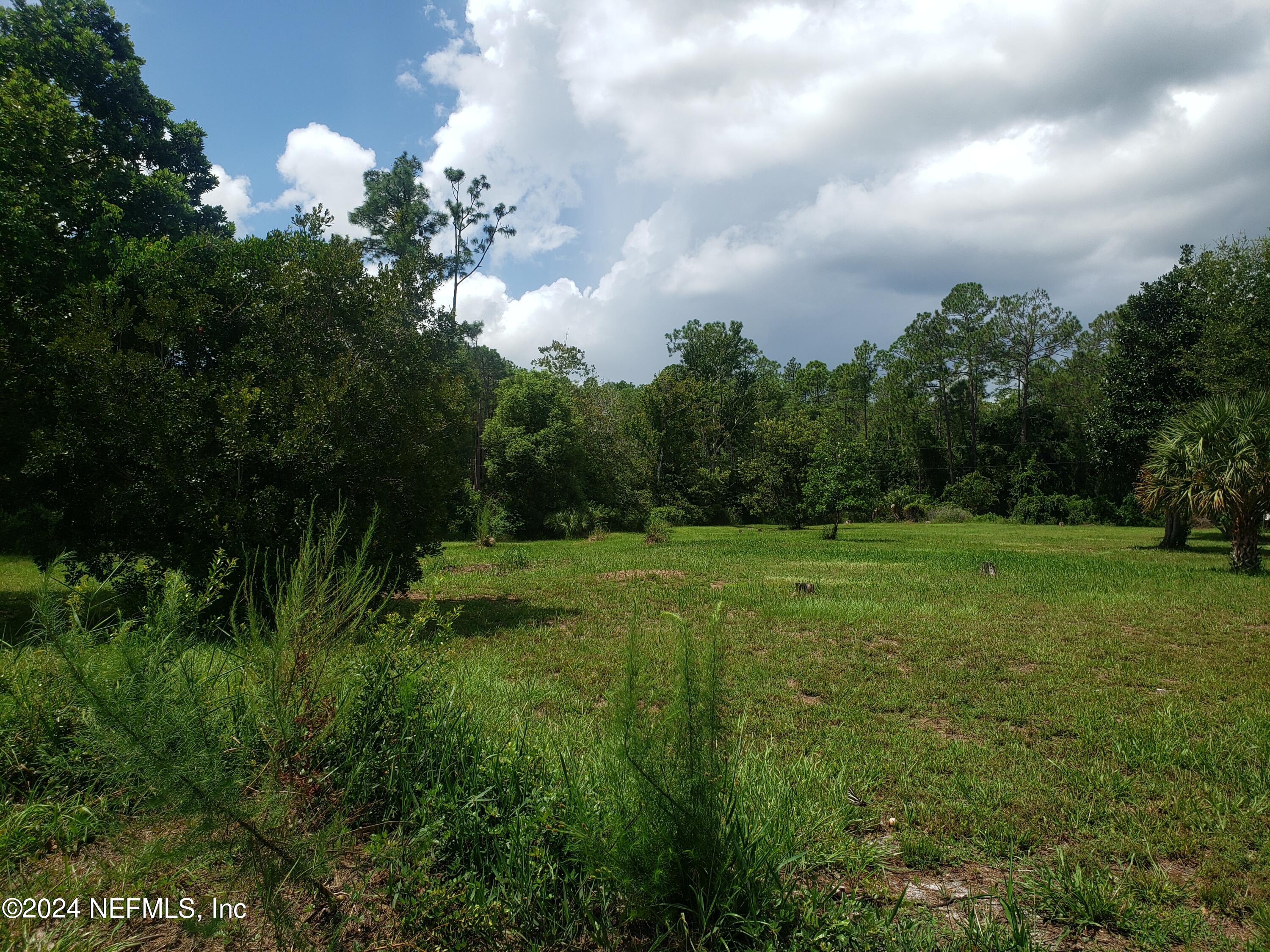 0 Osceola Road Georgetown, FL 32139 - Photo 2 of 10 20240830_123949