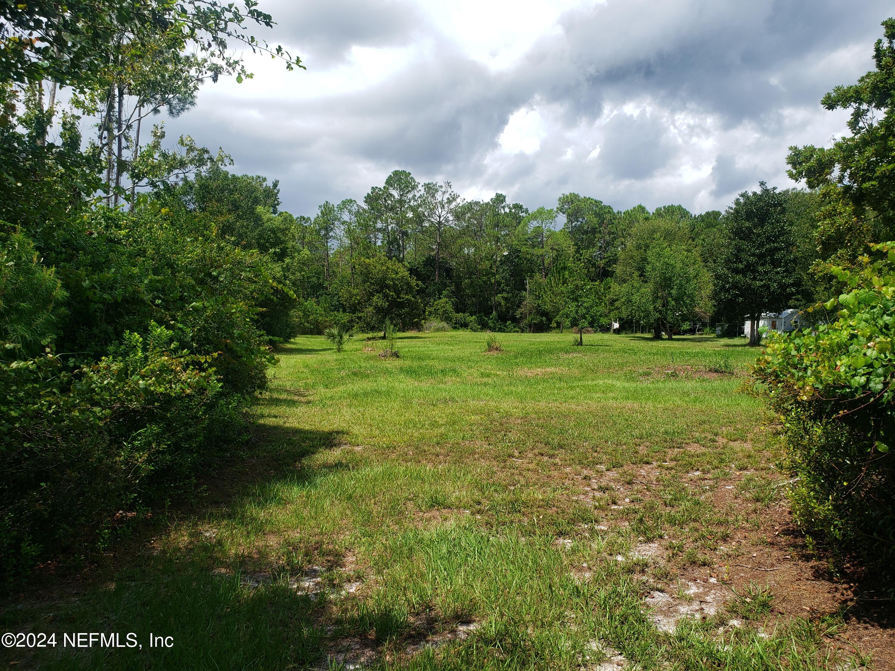 0 Osceola Road Georgetown, FL 32139 - Photo 3 of 10 20240830_123921