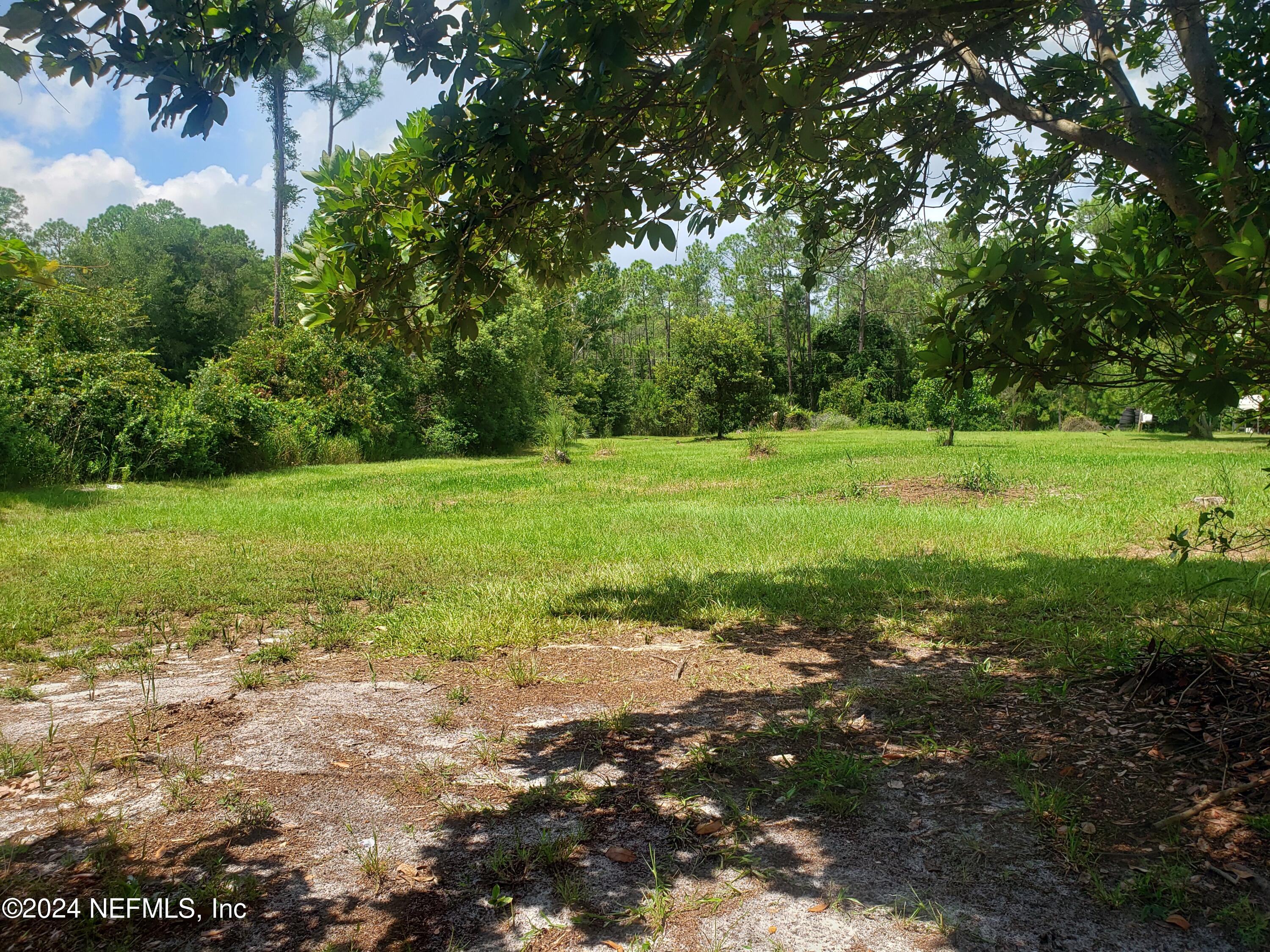 0 Osceola Road Georgetown, FL 32139 - Photo 4 of 10 20240830_123935