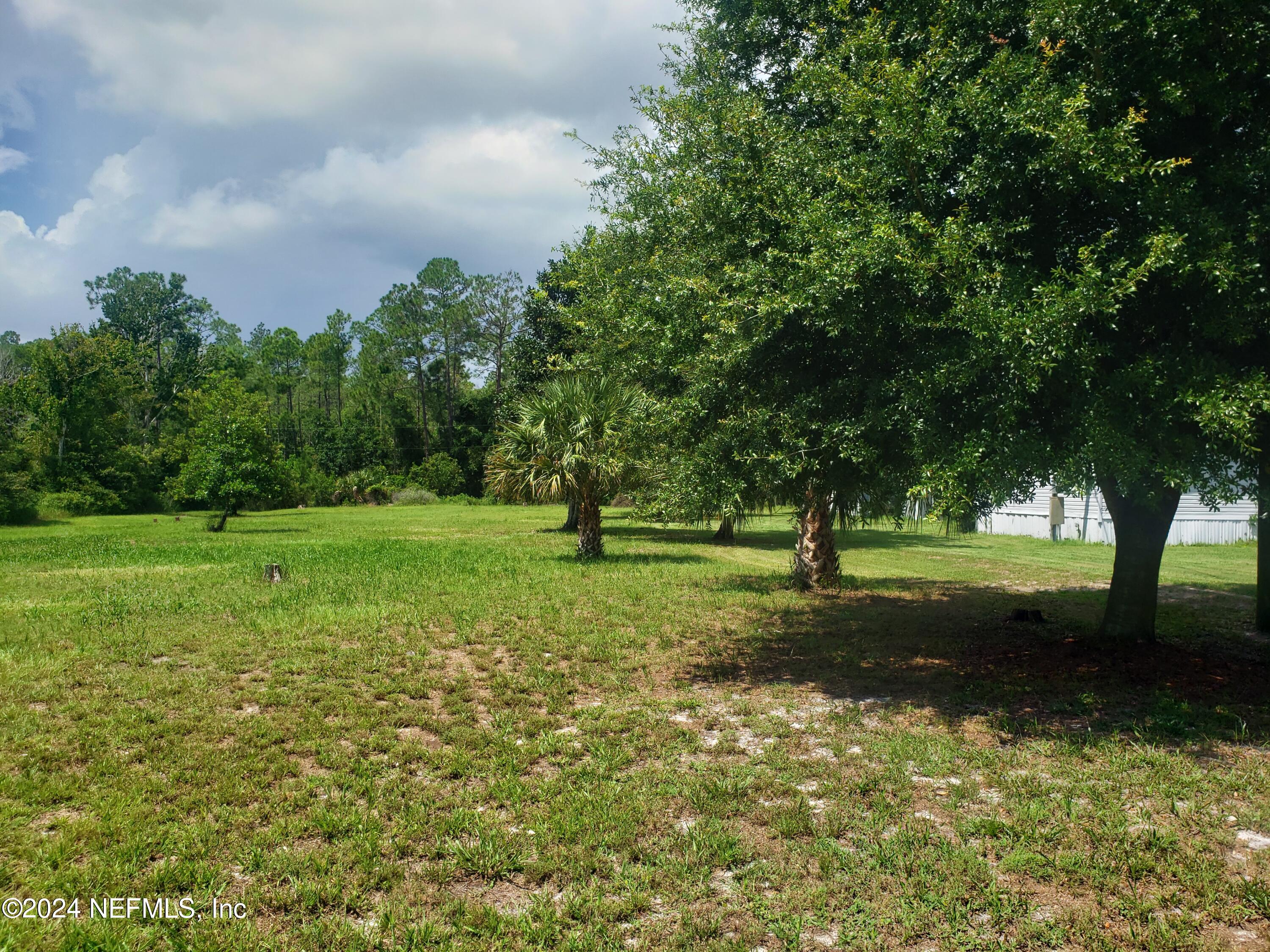 0 Osceola Road Georgetown, FL 32139 - Photo 5 of 10 20240830_123954