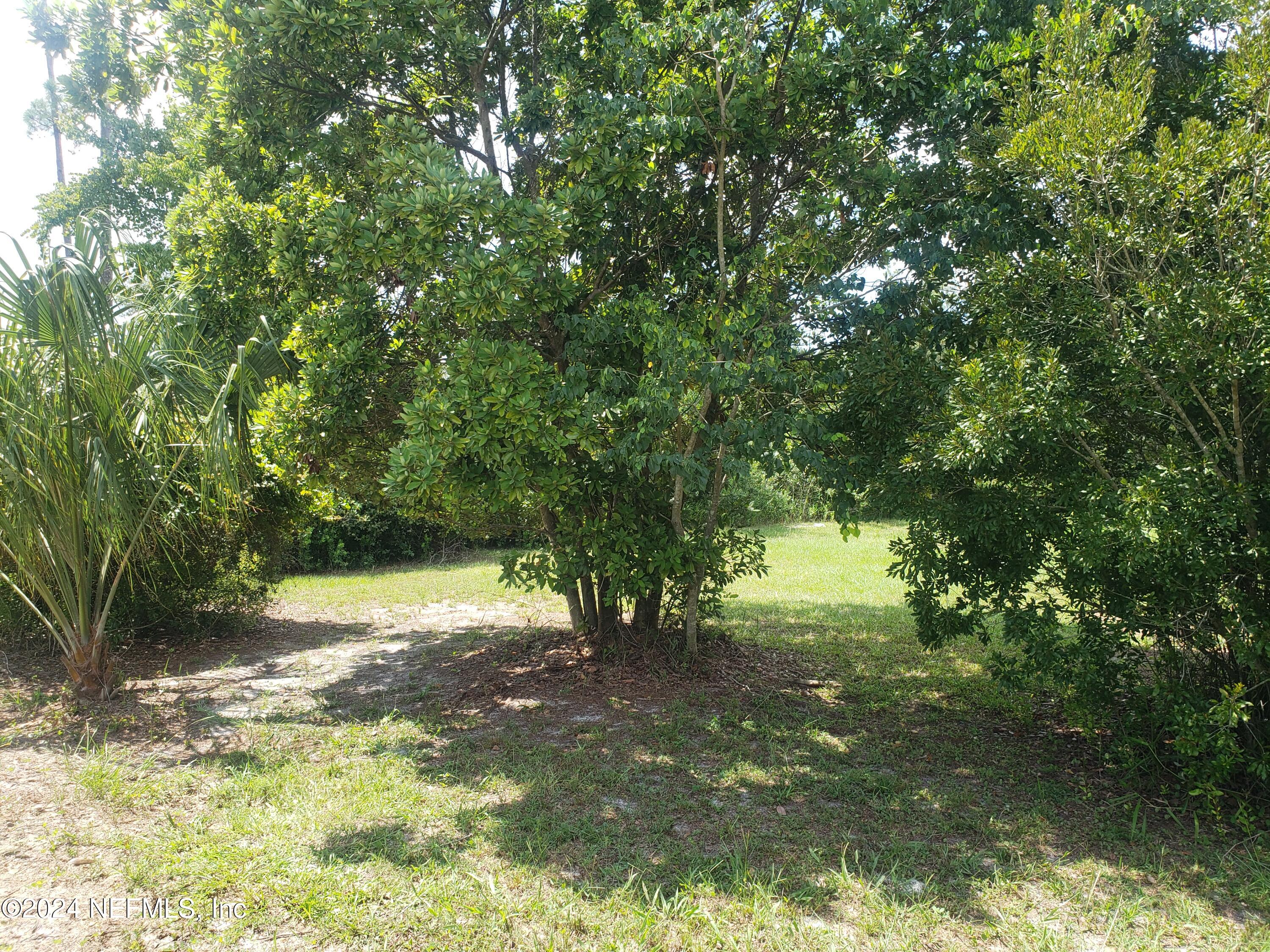 0 Osceola Road Georgetown, FL 32139 - Photo 7 of 10 20240830_123943