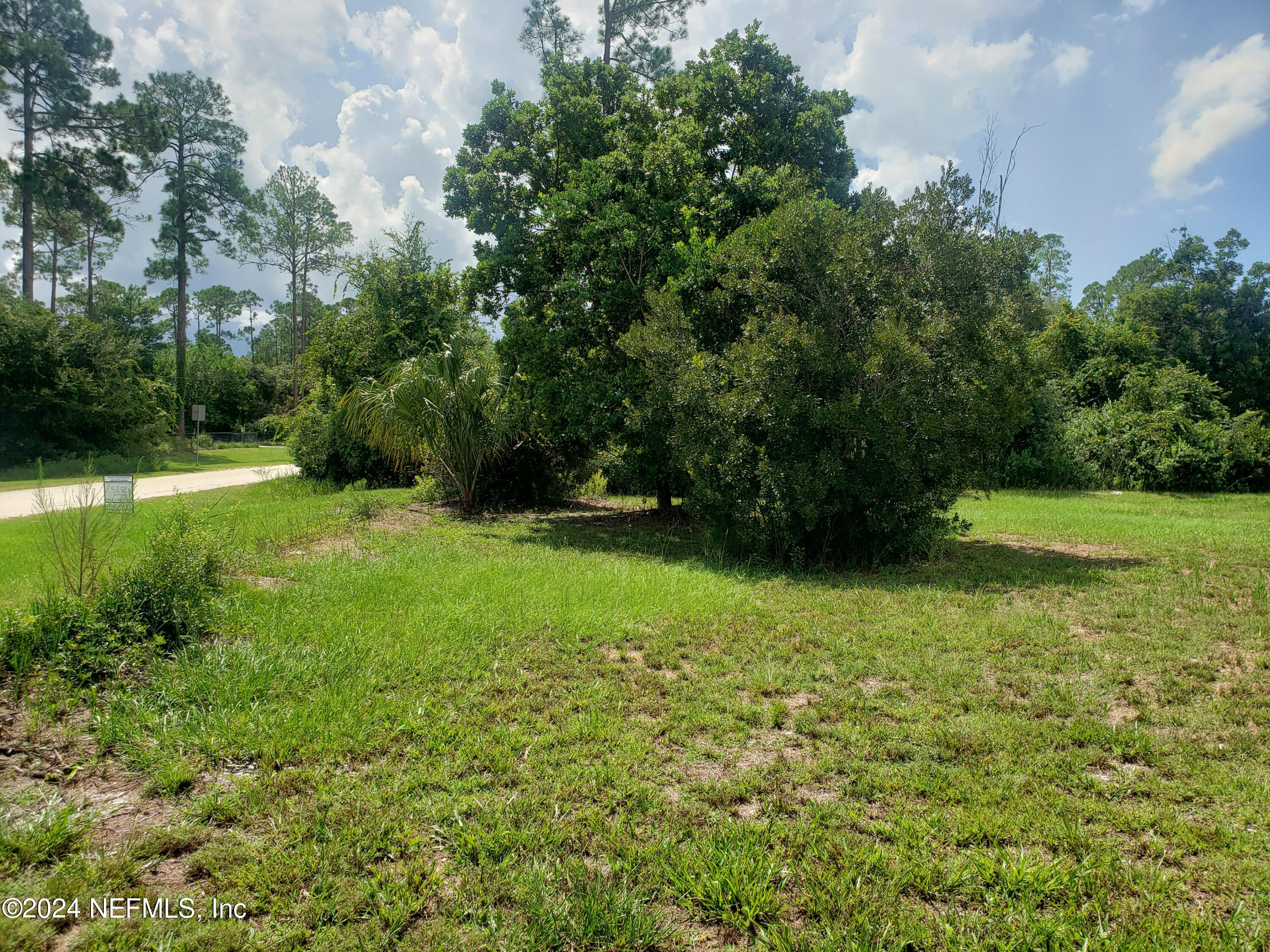 0 Osceola Road Georgetown, FL 32139 - Photo 8 of 10 20240830_123959