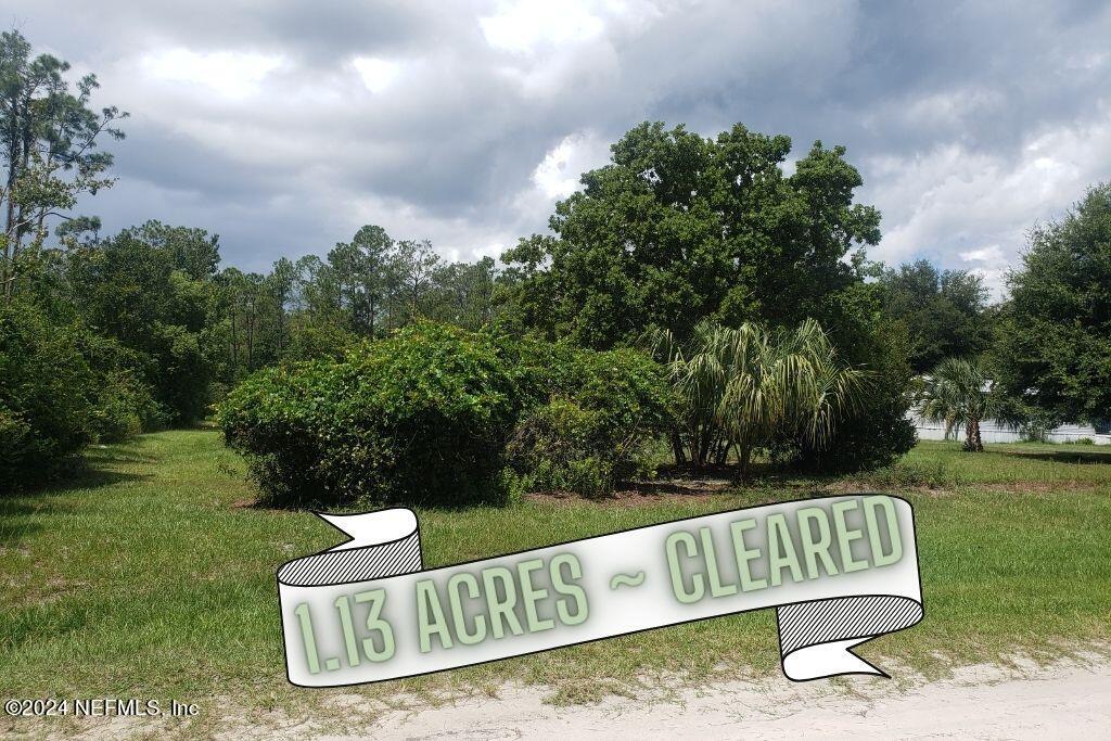 0 Osceola Road Georgetown, FL 32139 - Photo 9 of 10 osceola