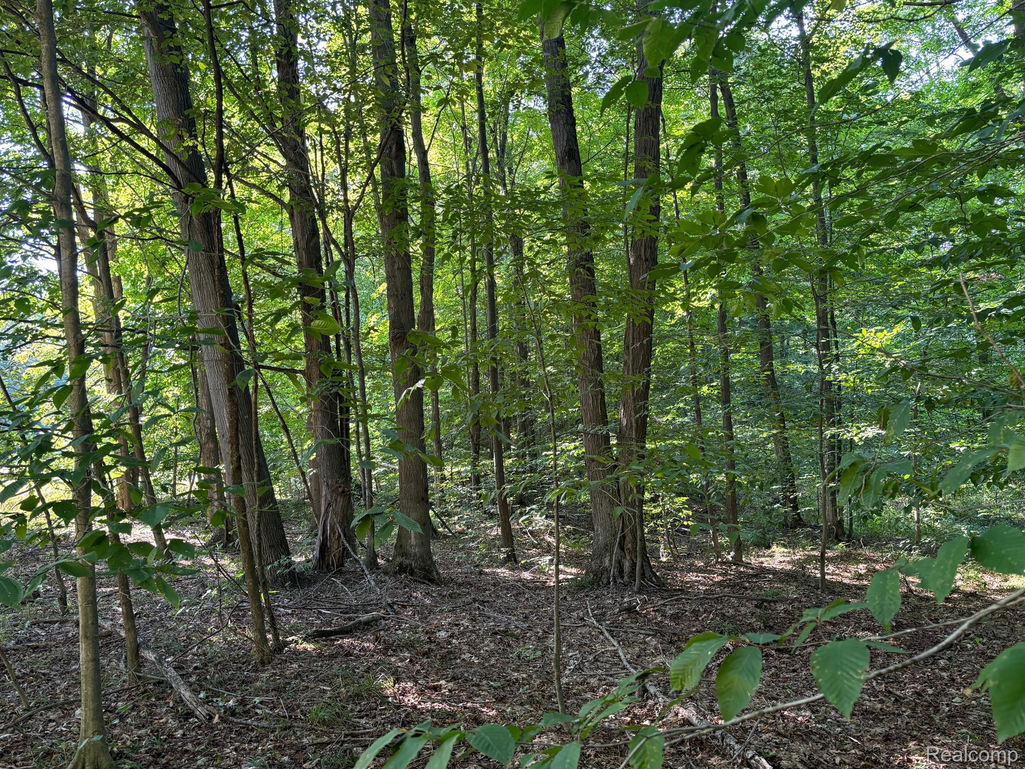 0 Newcosta Road Paris, MI 49338 - Photo 23 of 30 Gallery Image 23