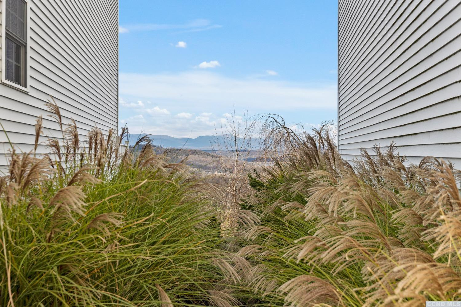 17 Academy Hill Drive Hudson, NY 12534 - Photo 28 of 35 a view of a garden